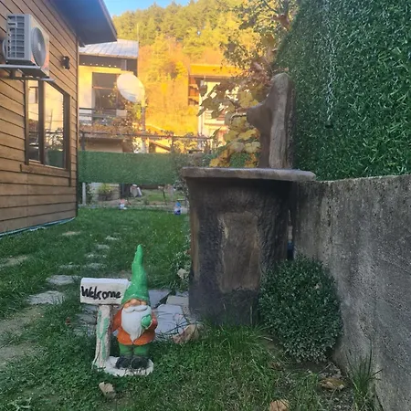 فيلة джерман Dzherman *